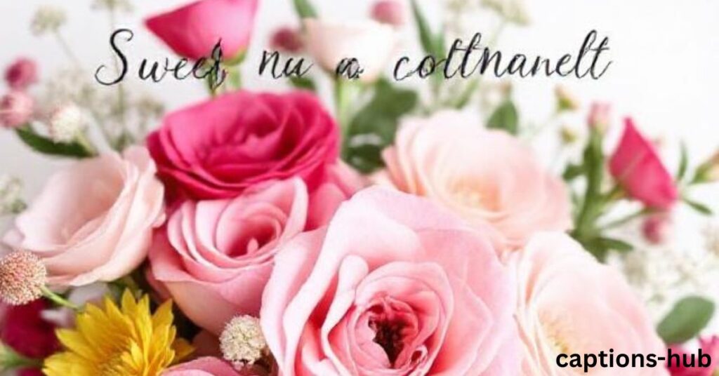 Sweet & Sentimental Flower Captions