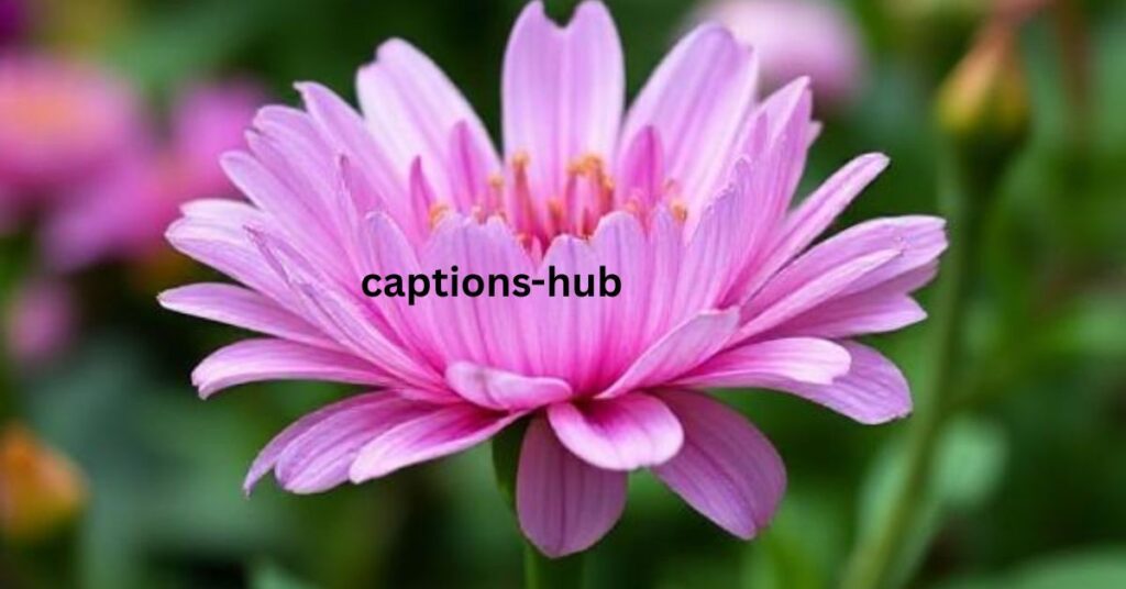 Punny & Funny Flower Captions