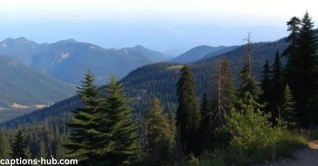 nature & peace mountain captions
