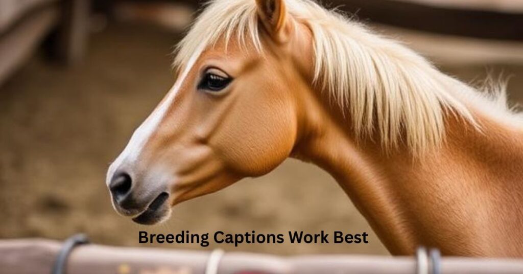 Breeding Captions Work Best