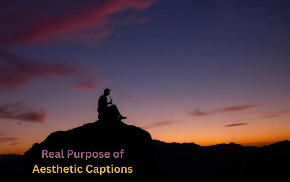 Real Purpose of Aesthetic Captions