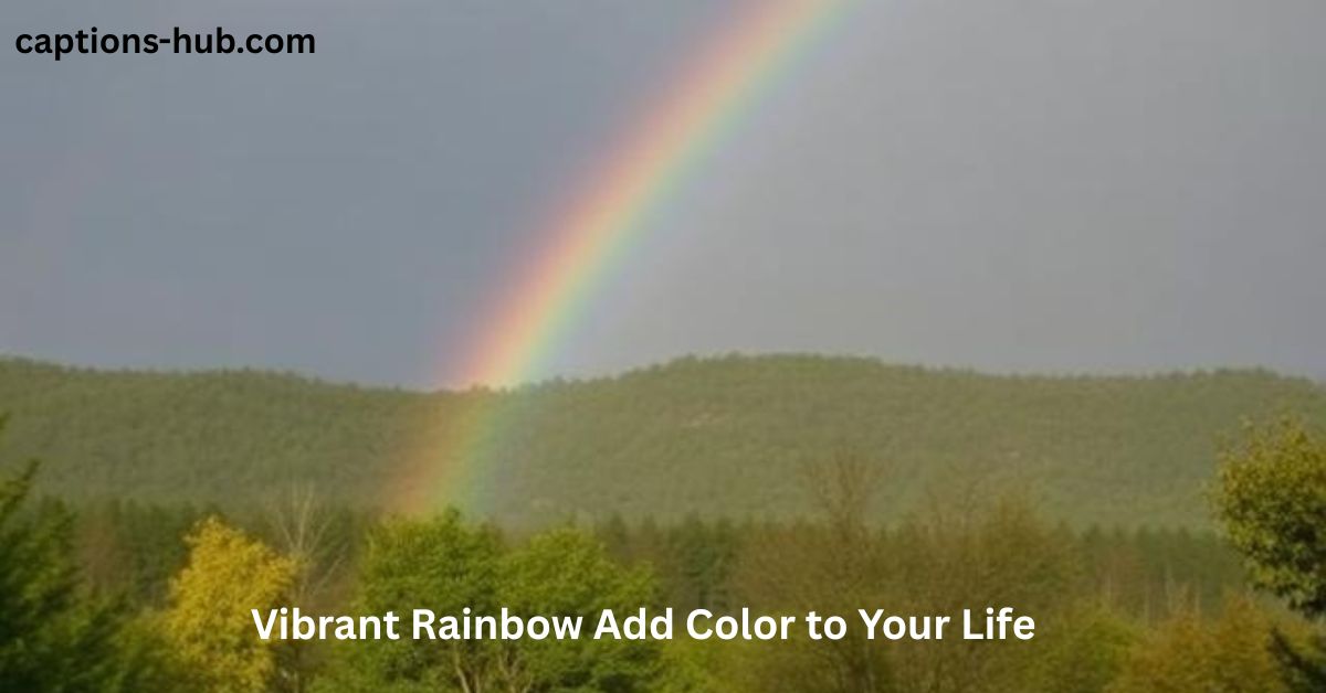 Rainbow Add Color to Your Life