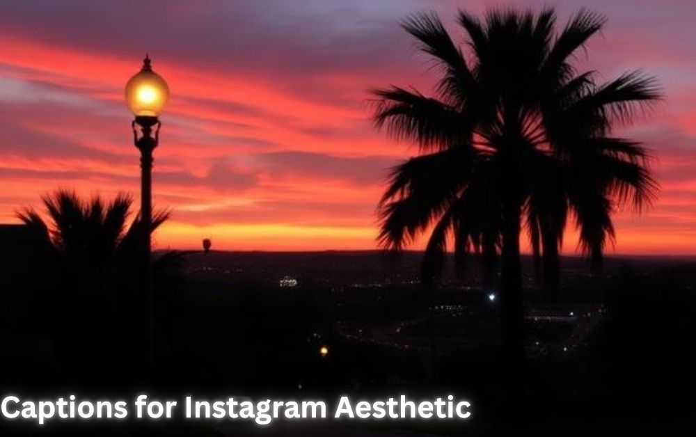 Captions for Instagram Aesthetic